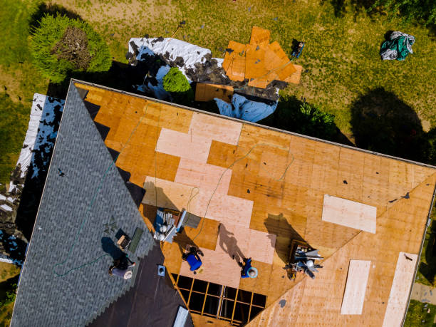 Trusted Waverly, TN Roofing Contractor Experts