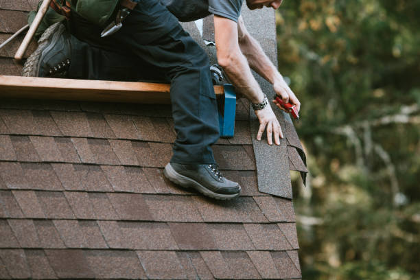 Best New Roof Installation  in Waverly, TN