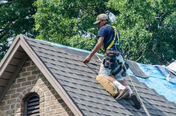 Residential Roof Replacement in Waverly, TN